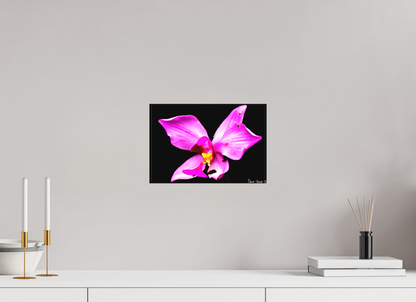 12 x 8″, Matte Canvas Efflorescence