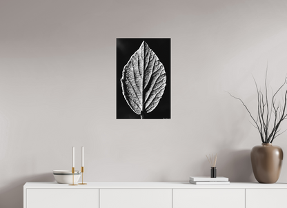 16 x 24″, Matte Canvas Eclipse