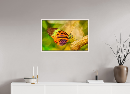 30 x 20″, Floater Frame Maple White Flamboyance