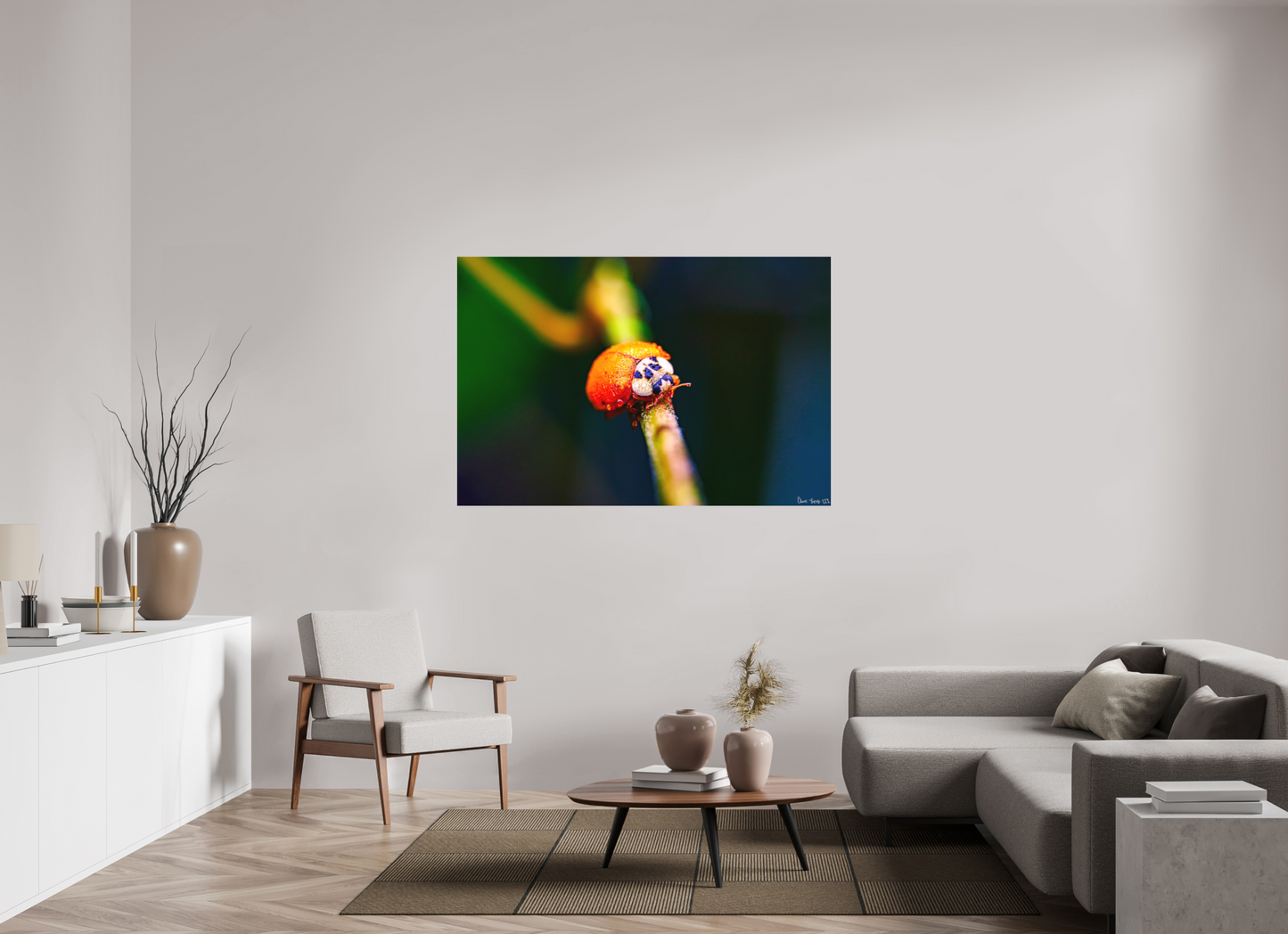 60 x 40″, Forex Dew-Kissed Ladybug