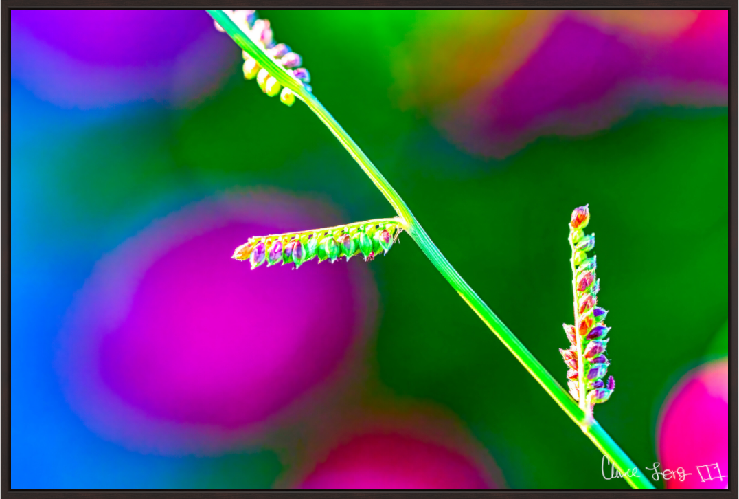 Main image Technicolor Vibes