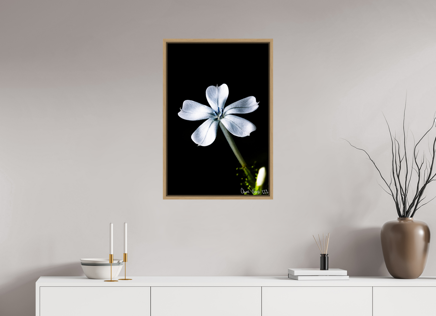 20 x 30″, Floater Frame Natural Oak Silver Petals