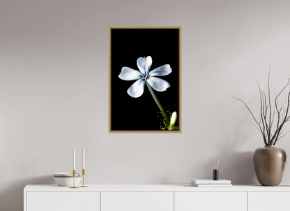 20 x 30″, Floater Frame Natural Oak Silver Petals