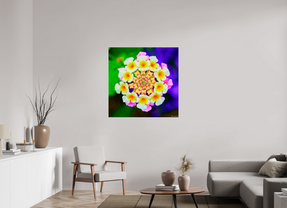 40 x 40″, Acrylic Quintessence