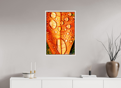 20 x 30″, Floater Frame Maple White Transparency