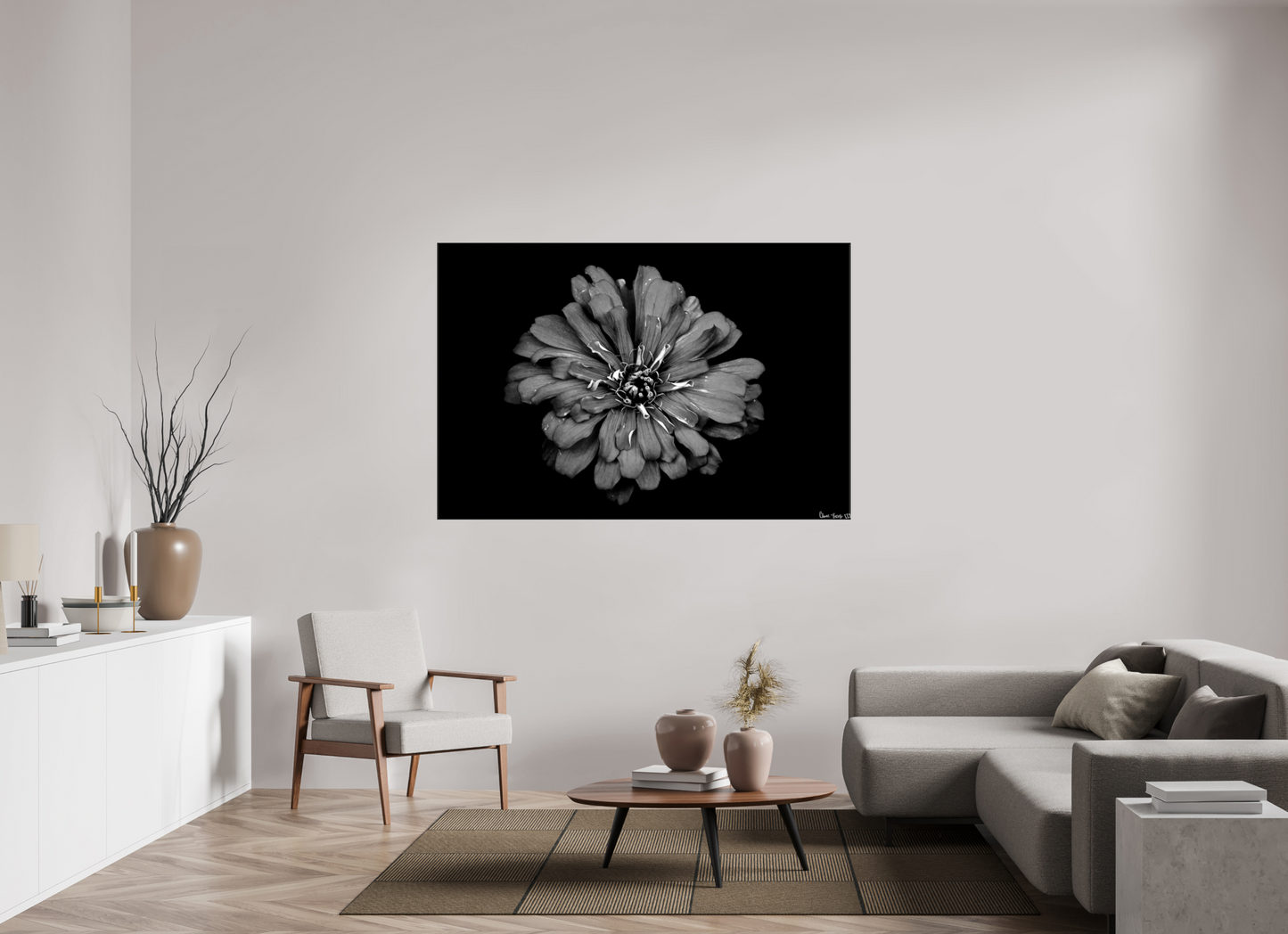 66 x 44″, Glossy Canvas Carbon Zinnia
