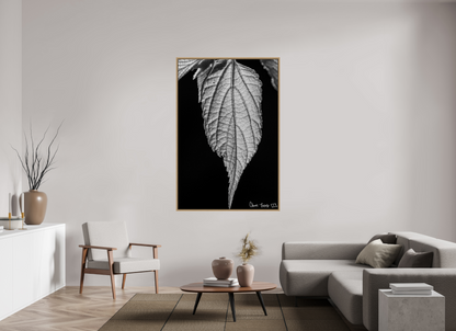 44 x 66″, Floater Frame Natural Oak Reticulate Venation