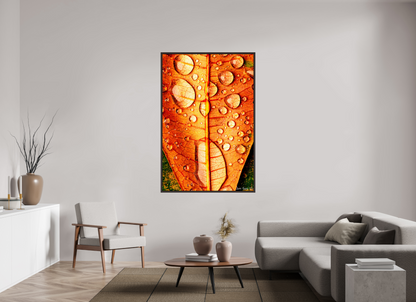 44 x 66″, Floater Frame Alder Brown Transparency