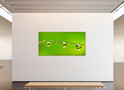94 x 47″, Floater Frame Natural Oak Refraction