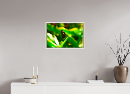 24 x 16″, Floater Frame Maple White Time Stands Still