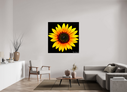 50 x 50″, Glossy Canvas Nana’s Sunflower