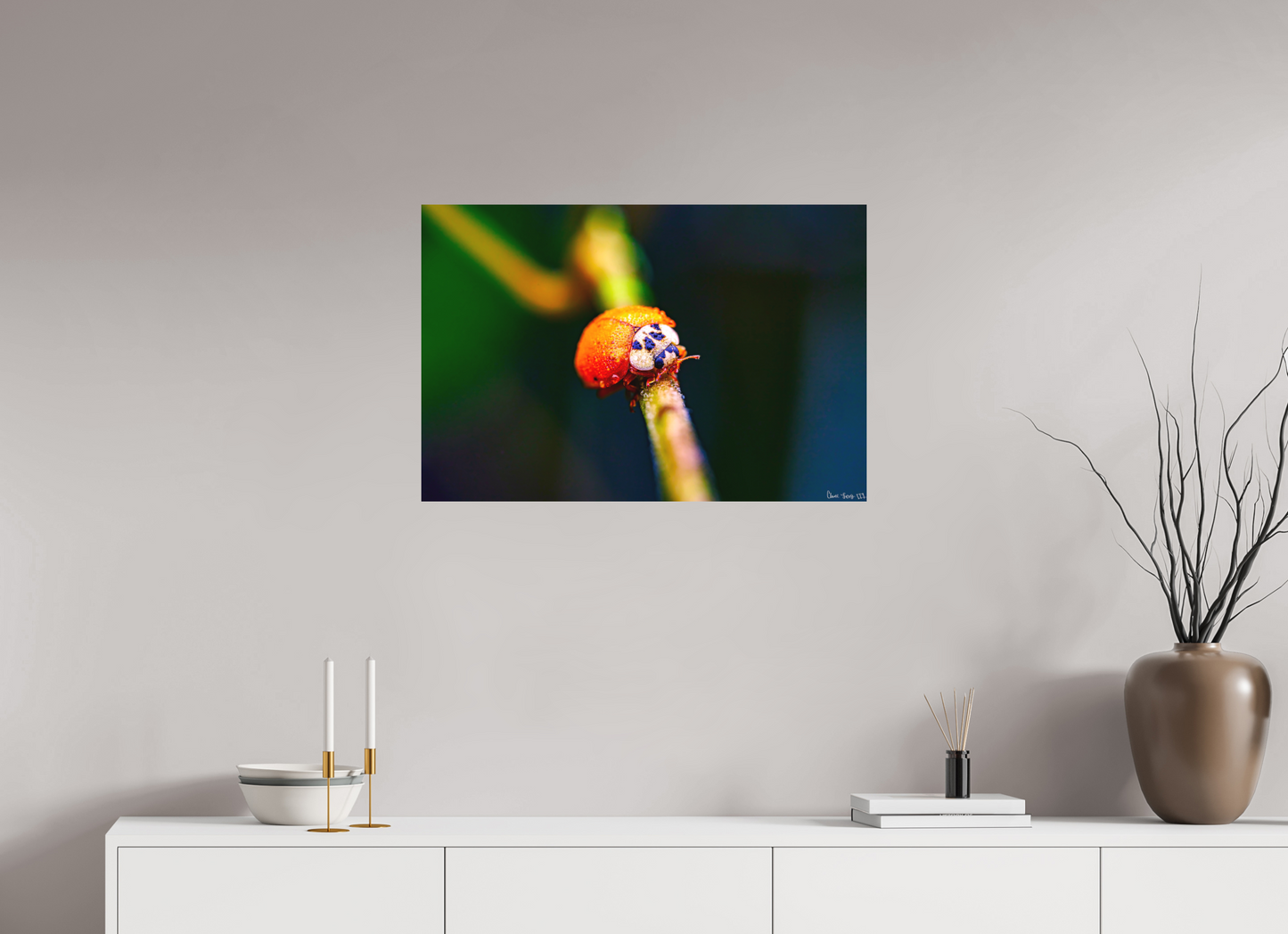 30 x 20″, Matte Metal Dew-Kissed Ladybug