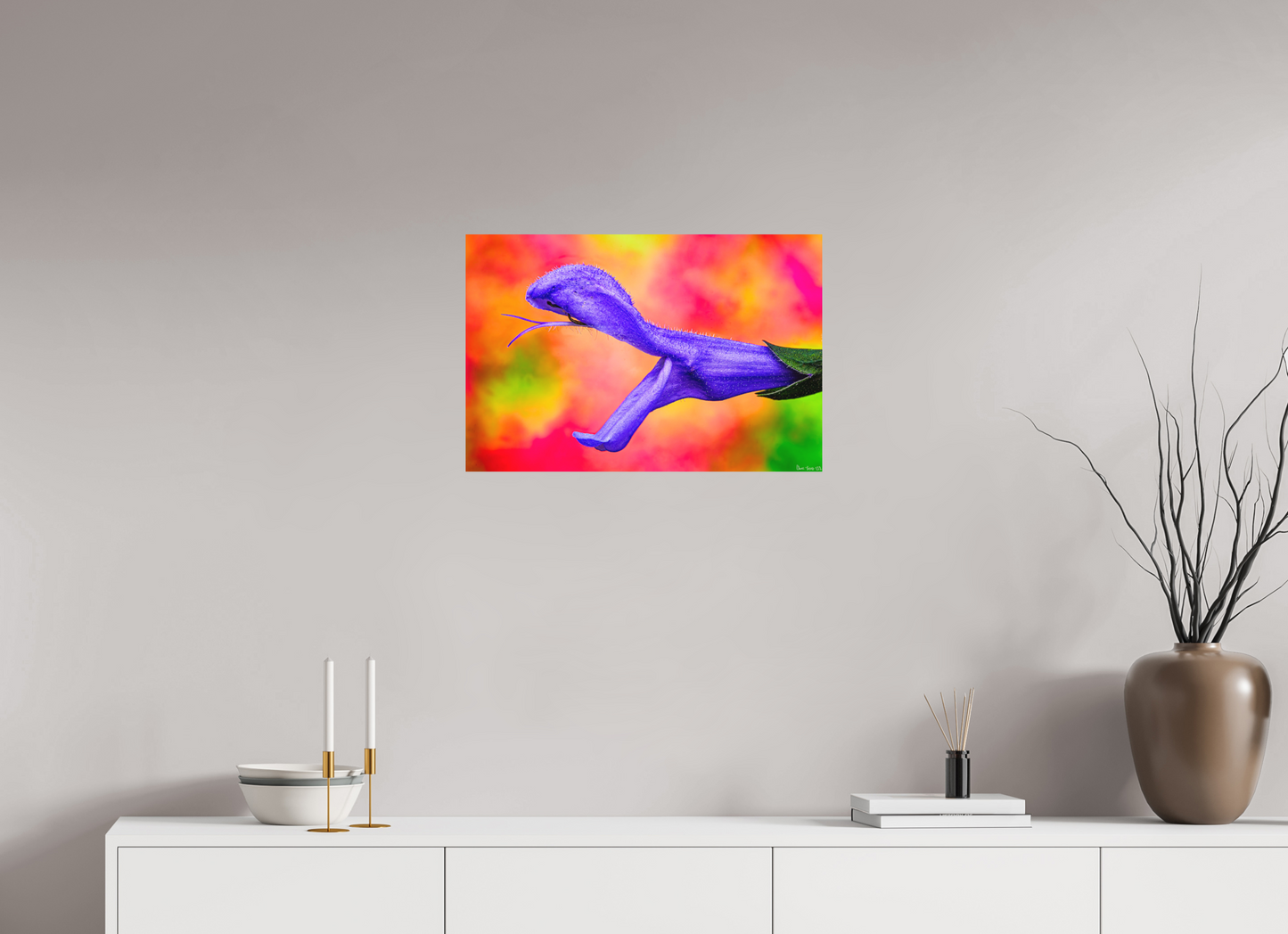 24 x 16″, Matte Metal Eden’s Serpent