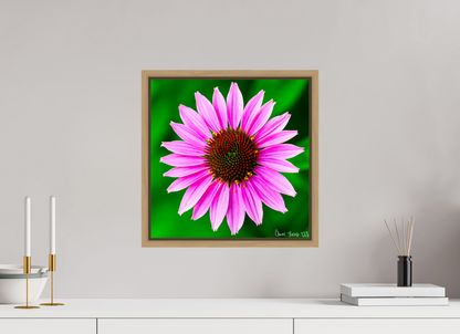 15 x 15″, Floater Frame Natural Oak Icosidigon