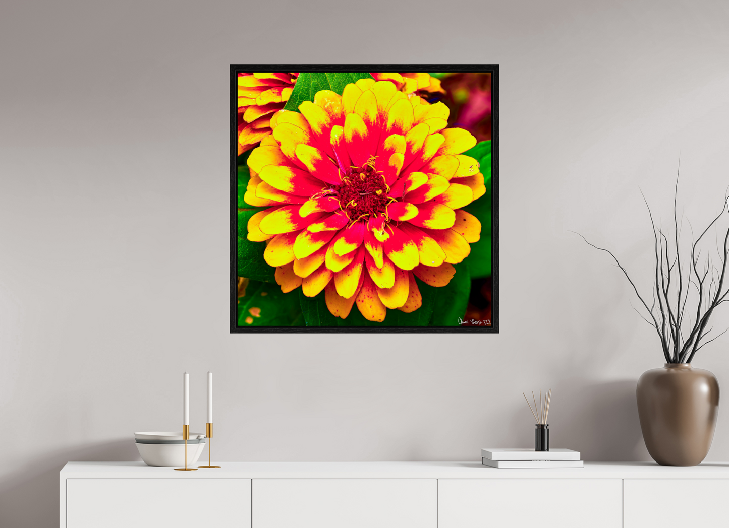 30 x 30″, Floater Frame Black Oak Radiance