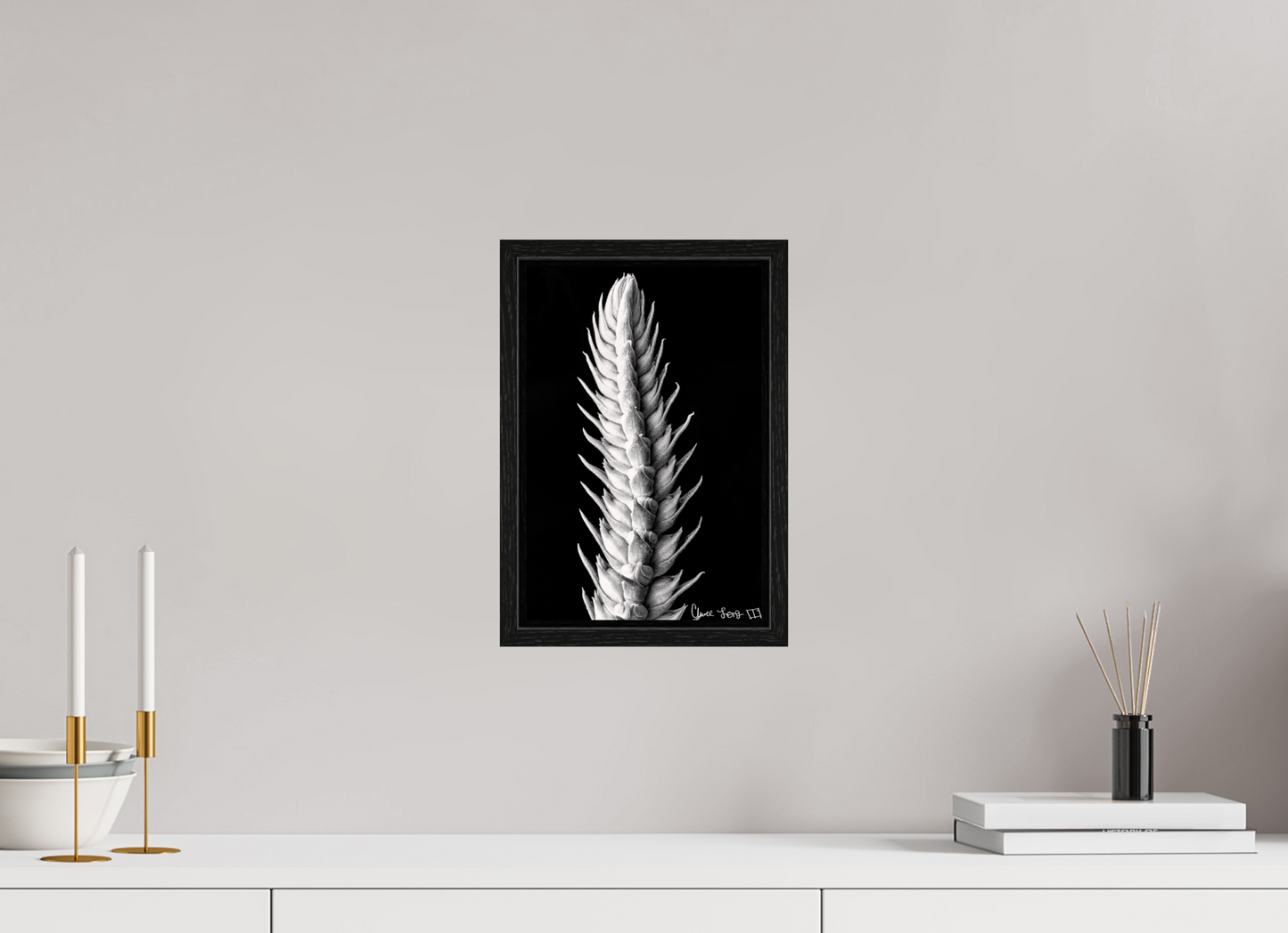 8 x 12″, Floater Frame Black Oak Vertebrae