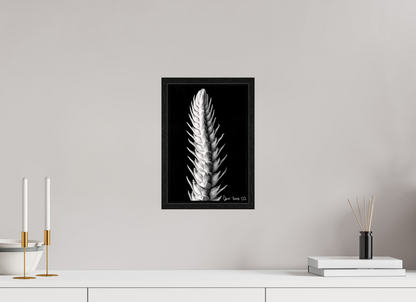 8 x 12″, Floater Frame Black Oak Vertebrae