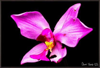 Main image Efflorescence