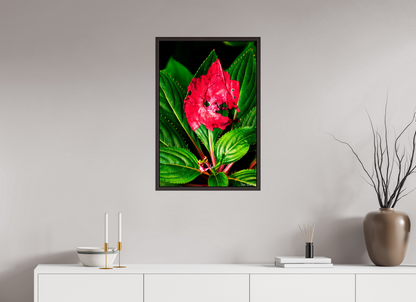 20 x 30″, Floater Frame Alder Brown Subsume