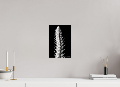 8 x 12″, Glossy Metal Vertebrae