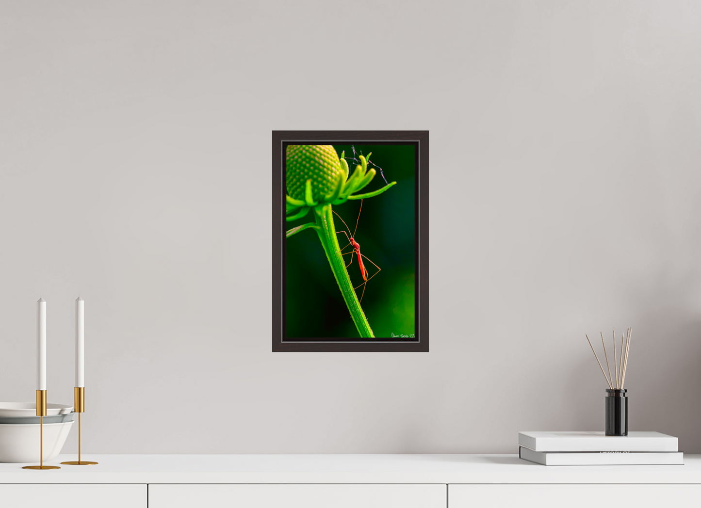 8 x 12″, Floater Frame Alder Brown Reaching the Apex
