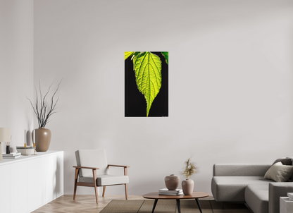24 x 36″, Matte Canvas Eternal Glow