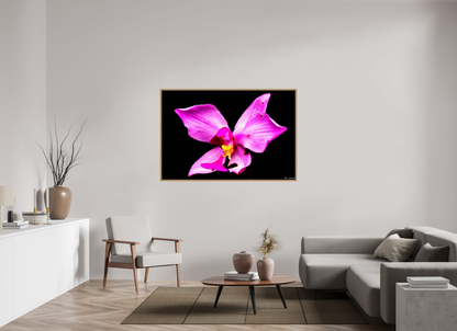 60 x 40″, Floater Frame Natural Oak Efflorescence