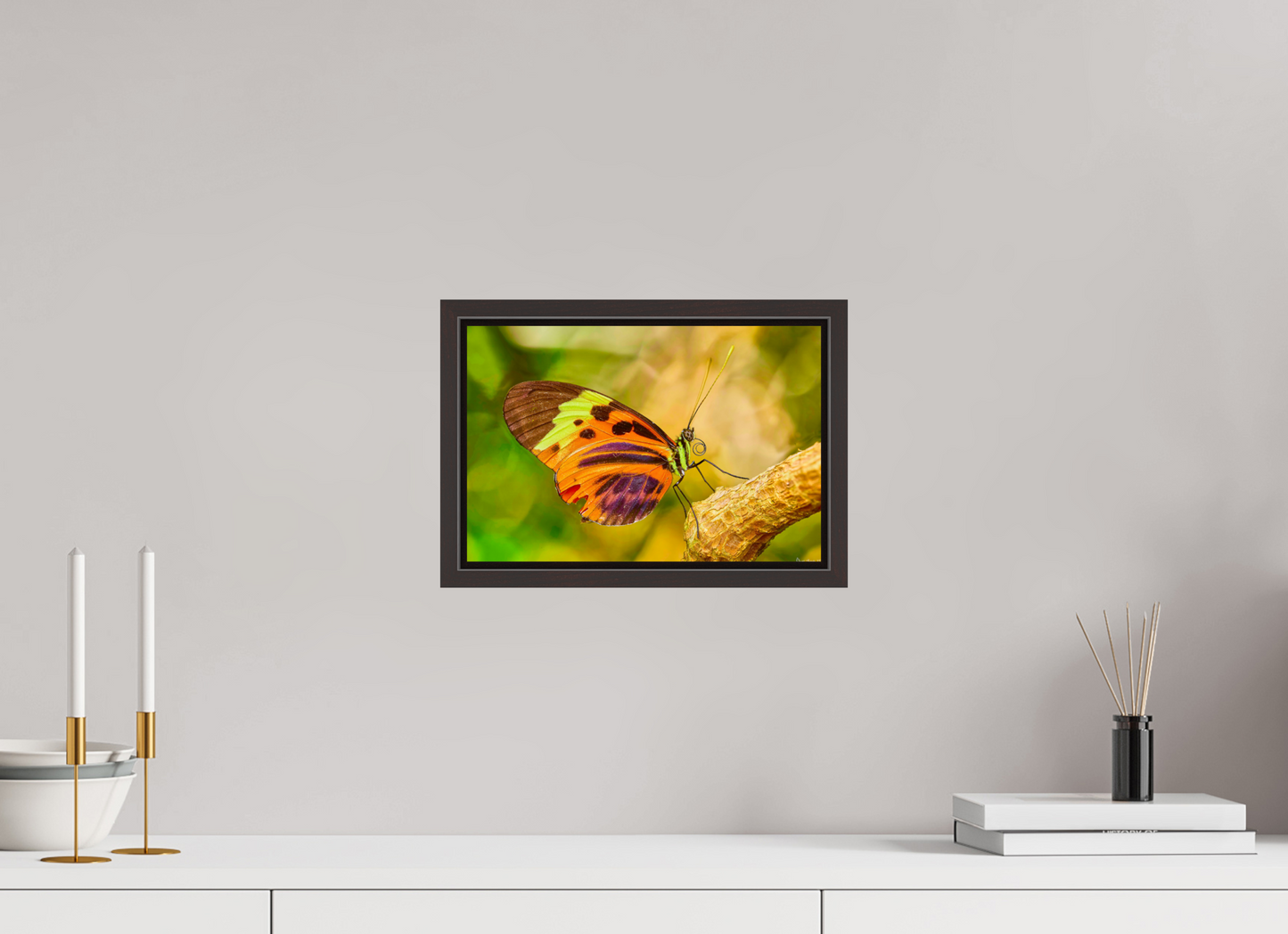 12 x 8″, Floater Frame Alder Brown Flamboyance