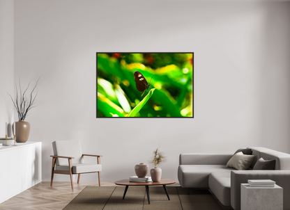 66 x 44″, Floater Frame Alder Brown Time Stands Still