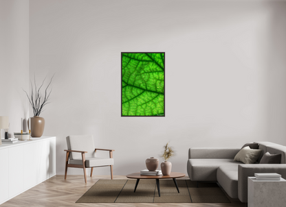 30 x 45″, Floater Frame Alder Brown Rivers & Streams