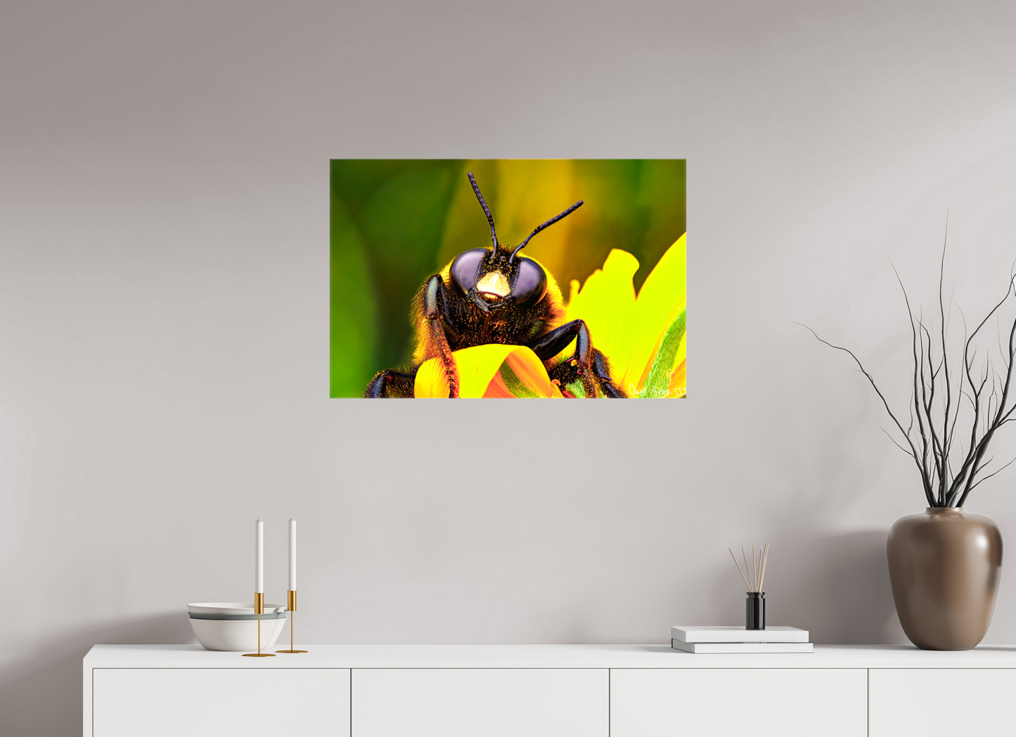 30 x 20″, Glossy Canvas The Curious Bumblebee