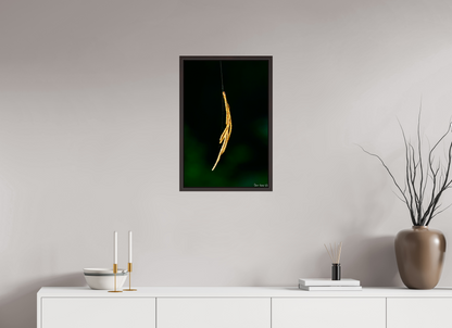 16 x 24″, Floater Frame Alder Brown Nature’s Tether