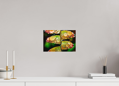 12 x 8″, Matte Metal Monarch’s Abundance