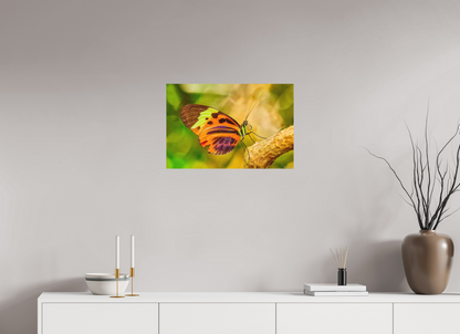 24 x 16″, Direct Print on Aluminum Dibond Default Flamboyance