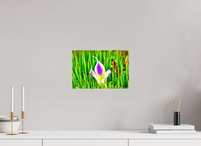 12 x 8″, Matte Canvas Maverick