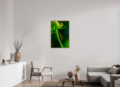 24 x 36″, Floater Frame Natural Oak Reaching the Apex