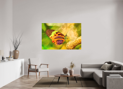 66 x 44″, Matte Canvas Flamboyance