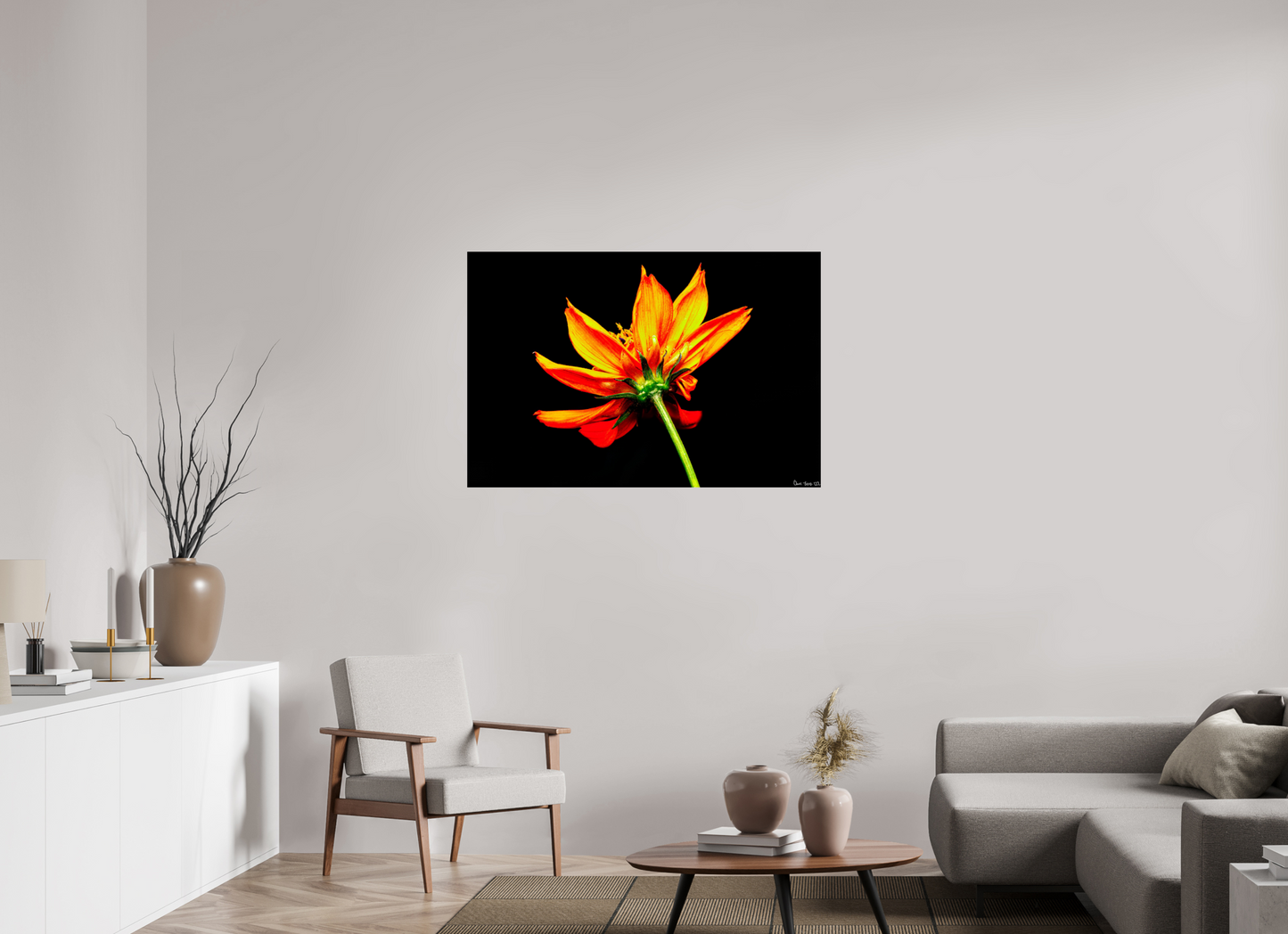 45 x 30″, Glossy Metal Soaring Phoenix