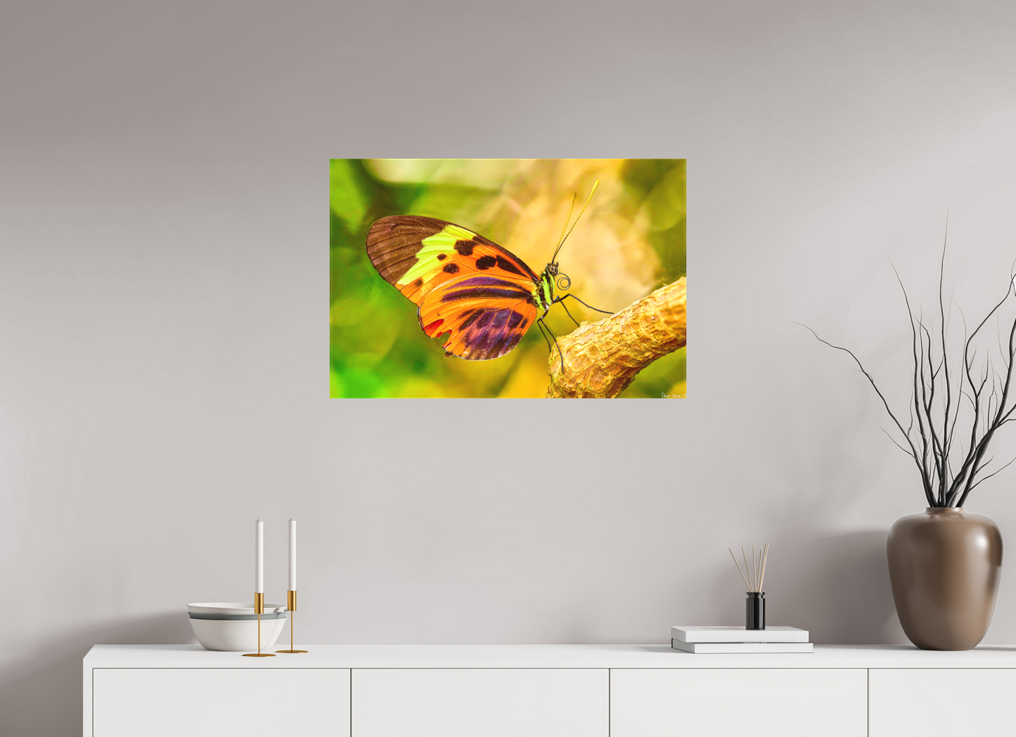 30 x 20″, Matte Canvas Flamboyance