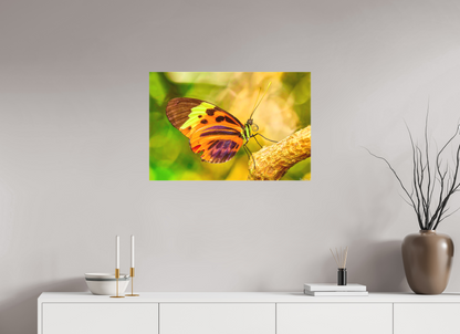 30 x 20″, Matte Canvas Flamboyance