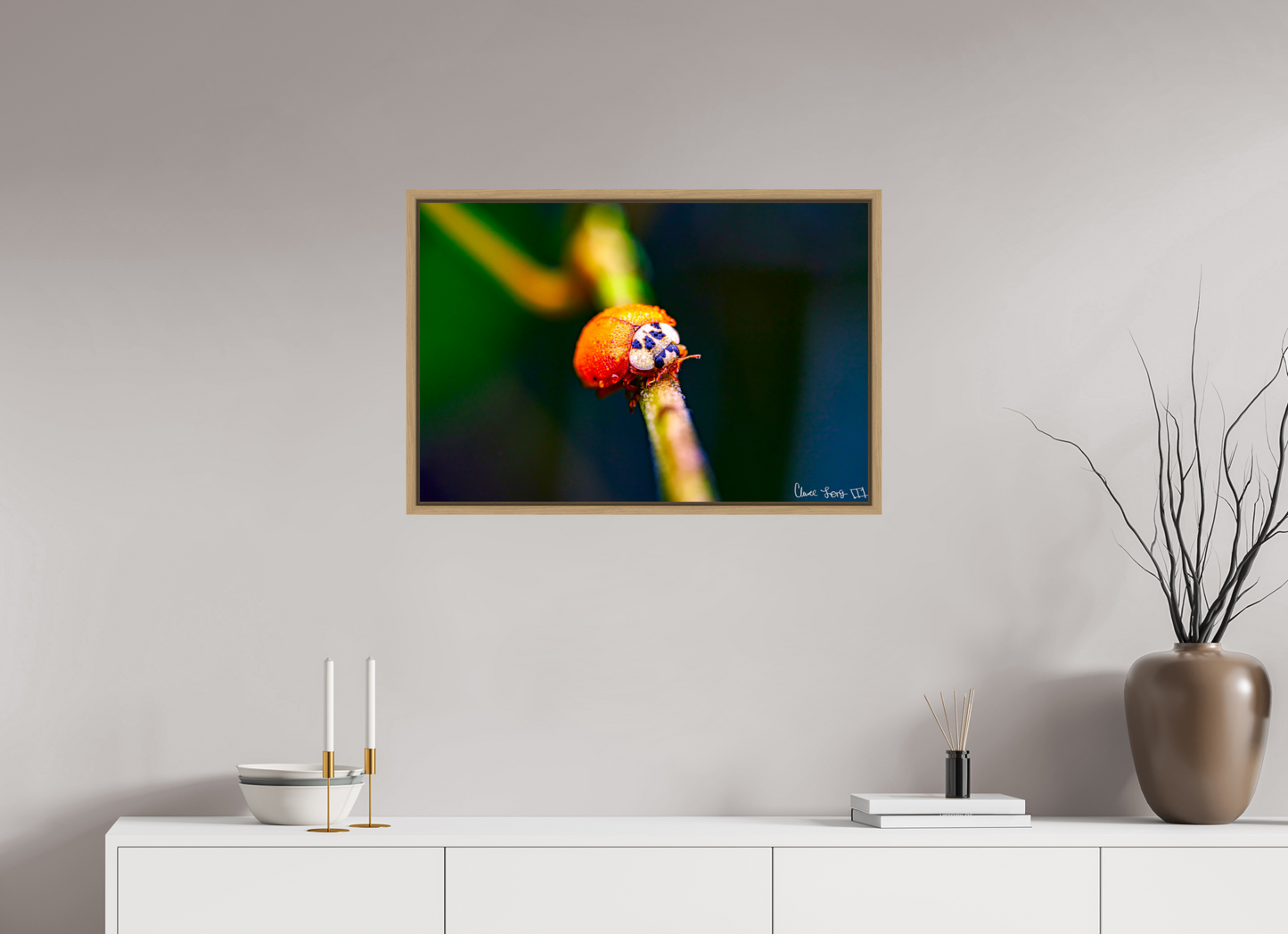 30 x 20″, Floater Frame Natural Oak Dew-Kissed Ladybug