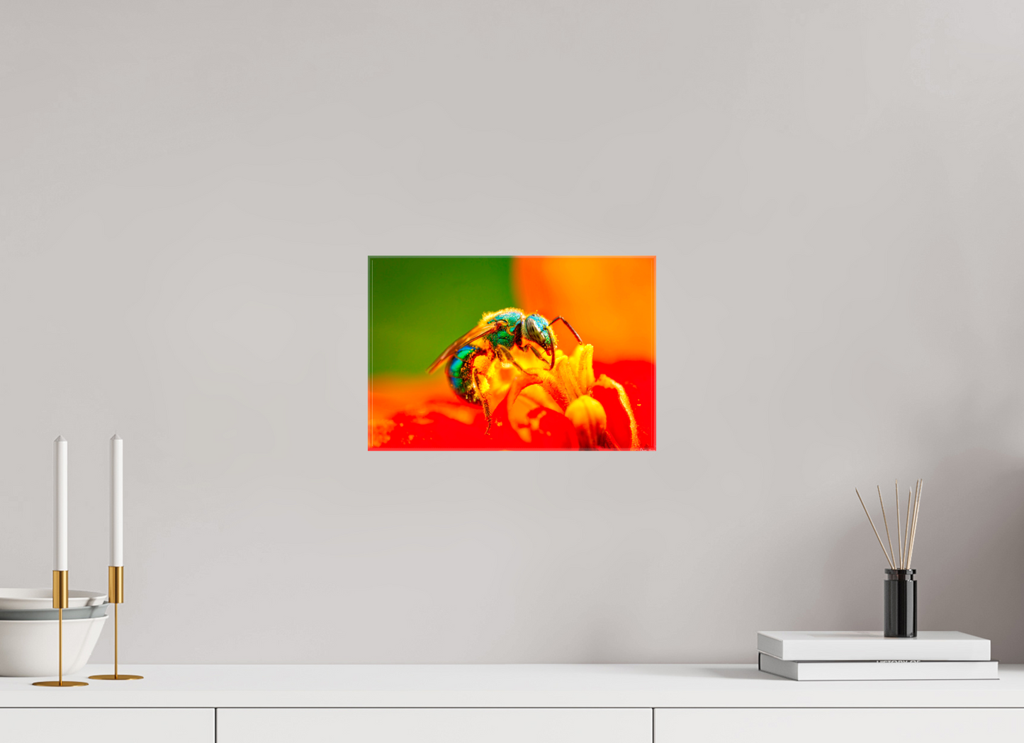 12 x 8″, Glossy Canvas Salt Licker