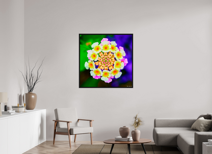 40 x 40″, Floater Frame Black Oak Quintessence