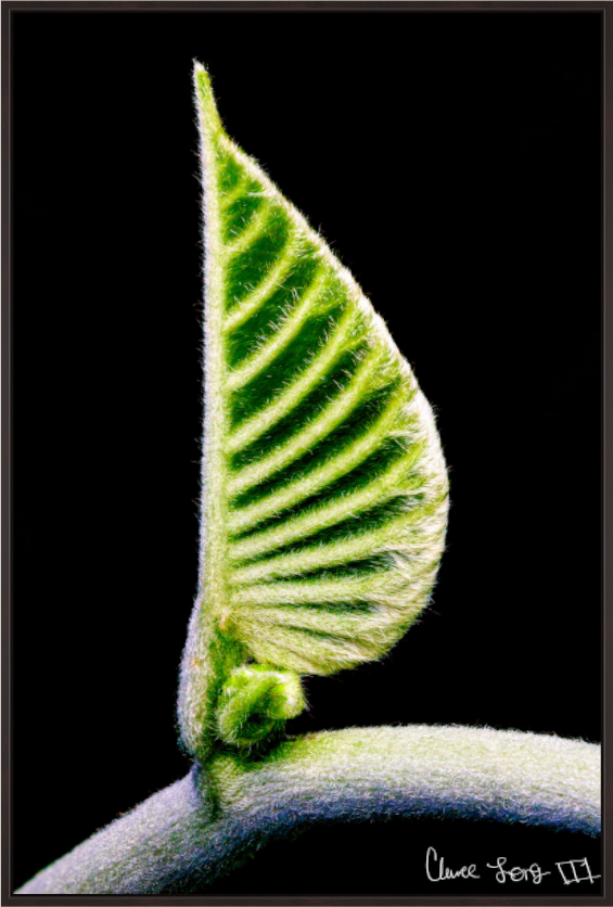 Main image Ocean Odyssey