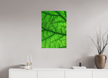 20 x 30″, Forex Rivers & Streams