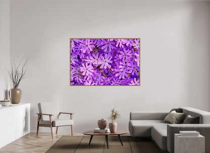 66 x 44″, Floater Frame Natural Oak Lavender Moss Phlox