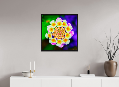 25 x 25″, Floater Frame Black Oak Quintessence