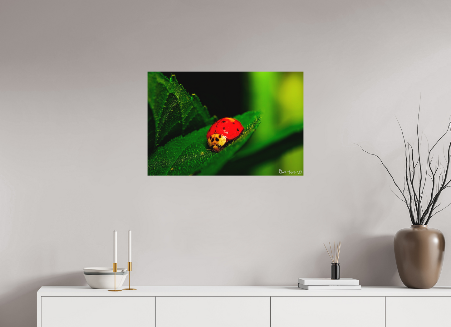 30 x 20″, Matte Metal Our Lady Bird