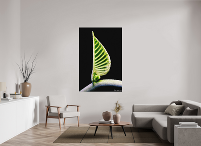44 x 66″, Matte Metal Ocean Odyssey