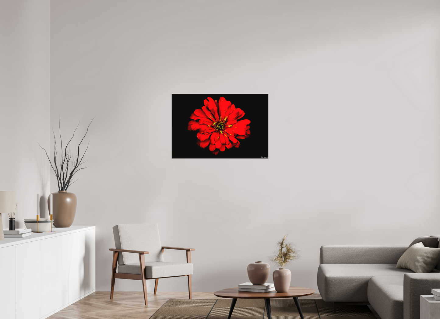 36 x 24″, Matte Metal Zinnia of Fire